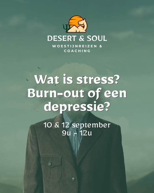 Vorming: Wat is stress? Burn-out of depressie?