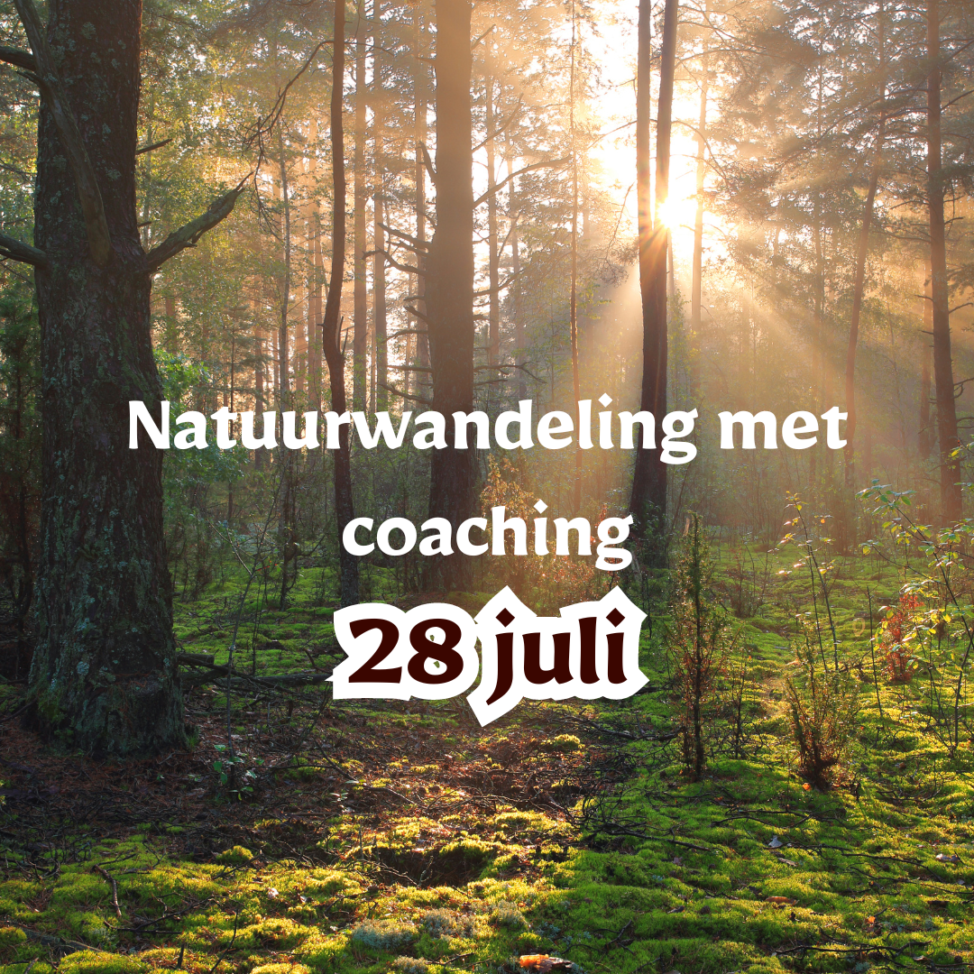 28 juli: Natuurwandelingen met groepscoaching