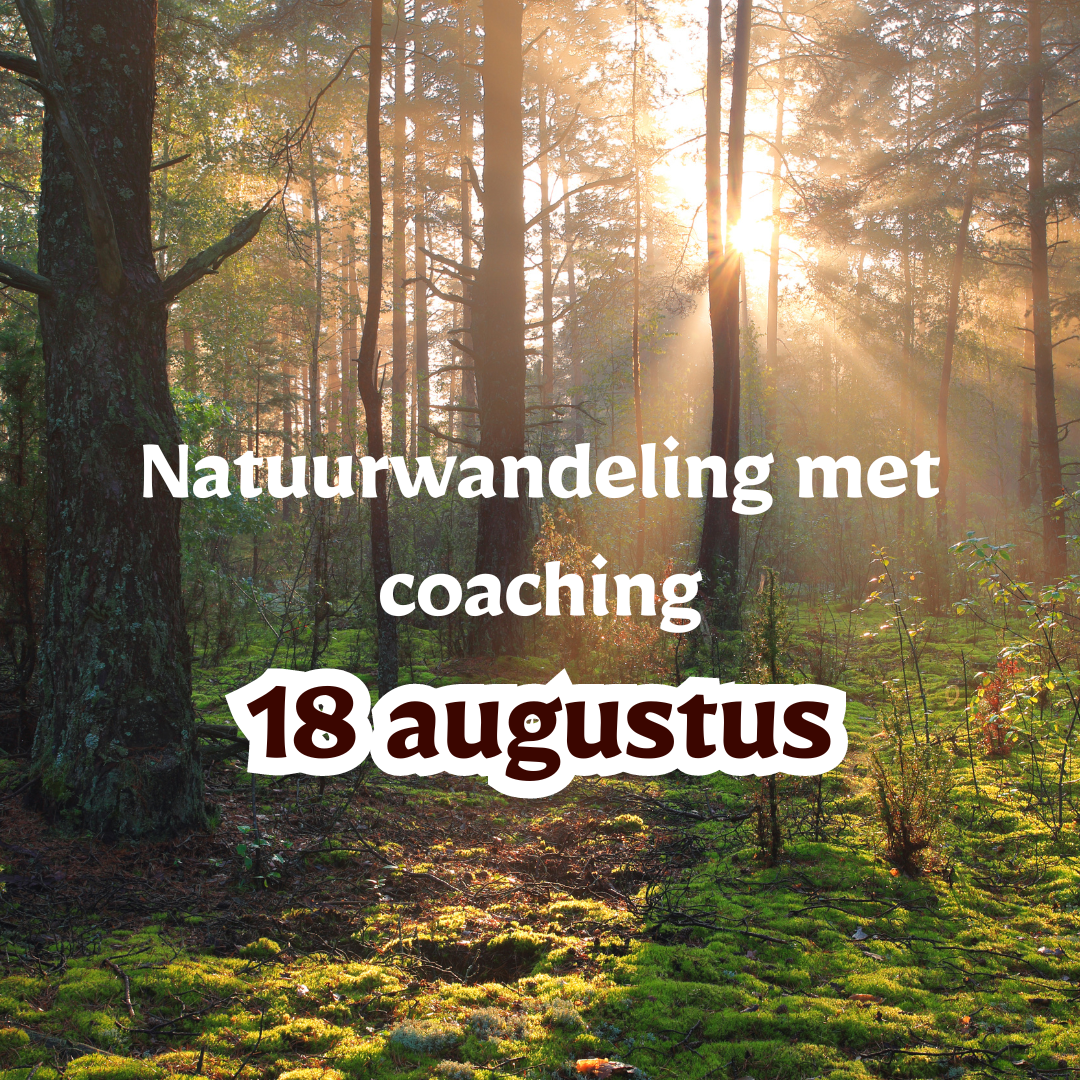 18 augustus: Natuurwandelingen met groepscoaching