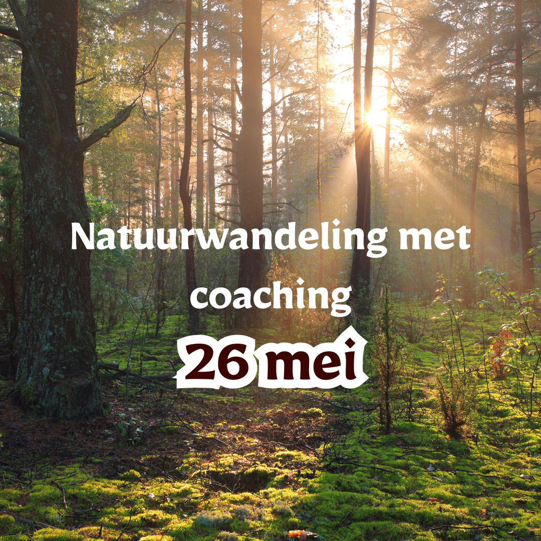 26 mei: Natuurwandeling met groepscoaching