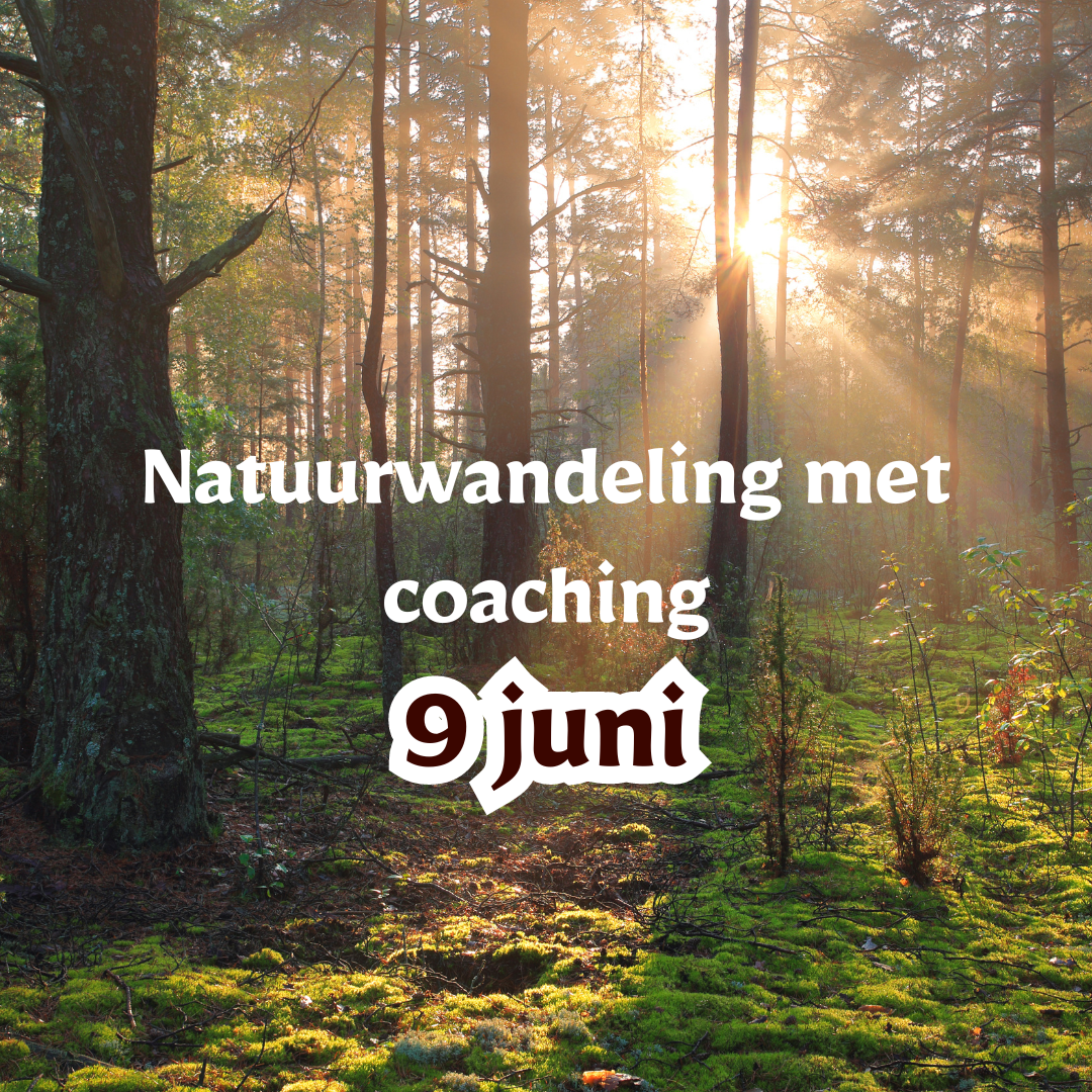 9 juni: Natuurwandeling met groepscoaching