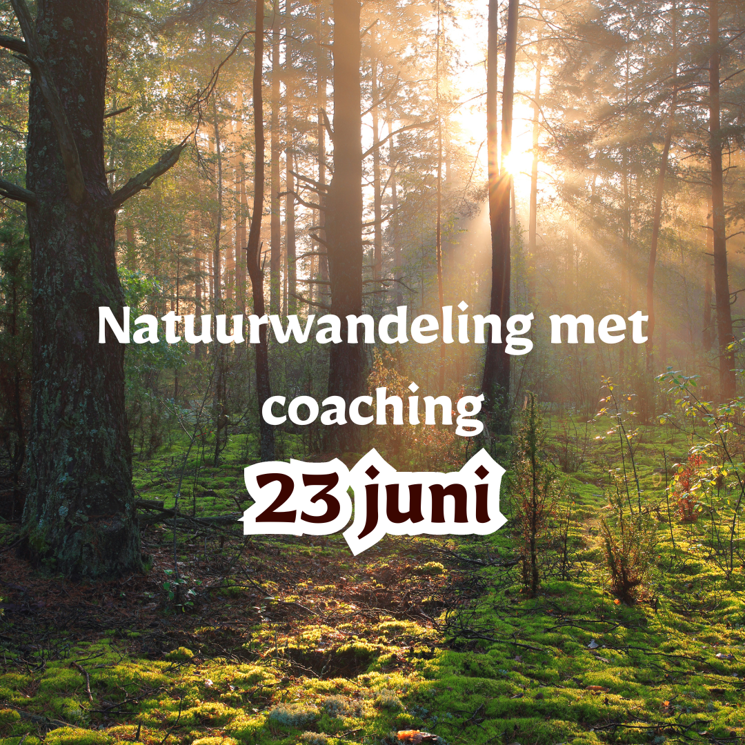 23 juni: Natuurwandeling met groepscoaching