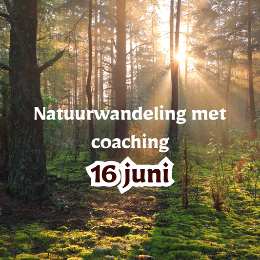 16 juni: Natuurwandelingen met groepscoaching