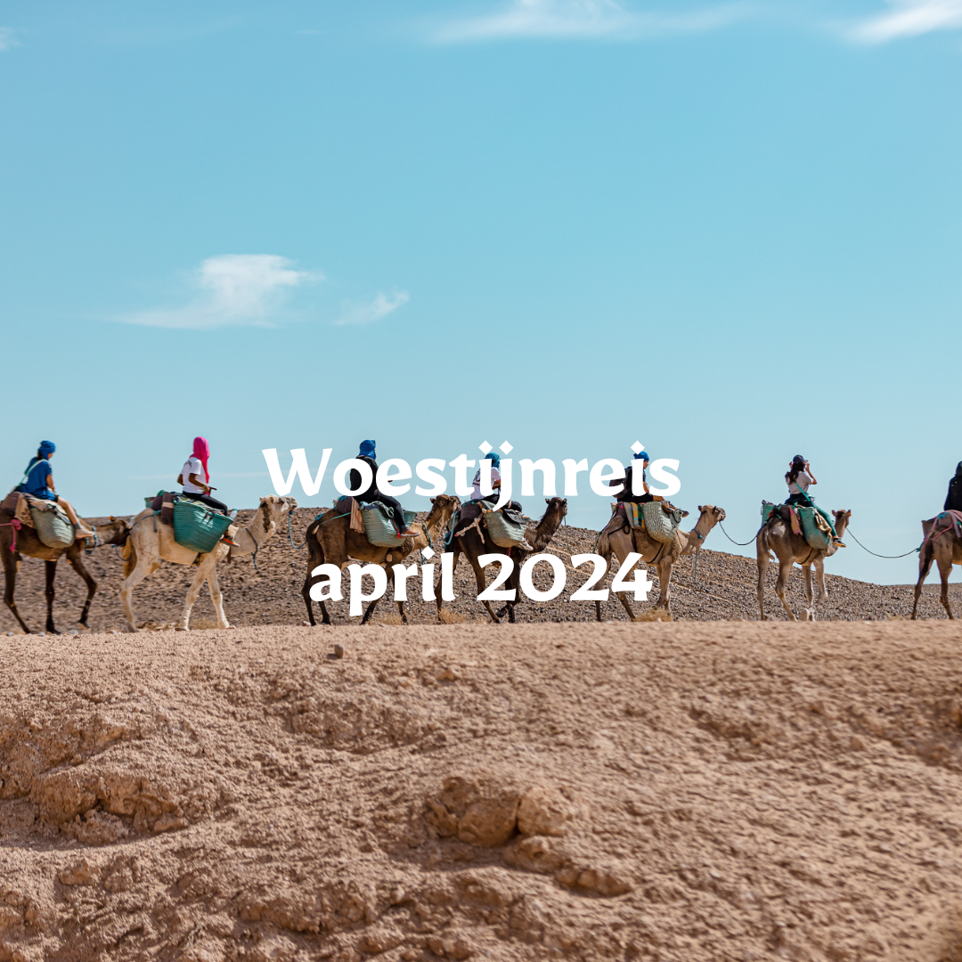 Woestijnreis april 2024