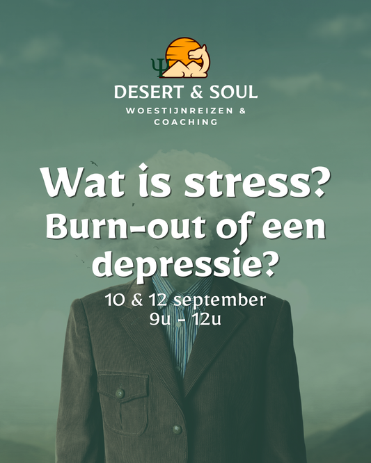 Vorming: Wat is stress? Burn-out of depressie?